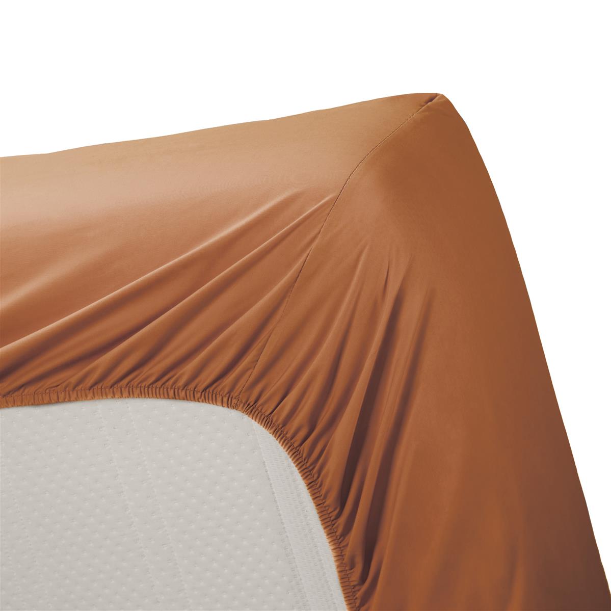 Ambiante Fitted Sheet - Cotton - Orange