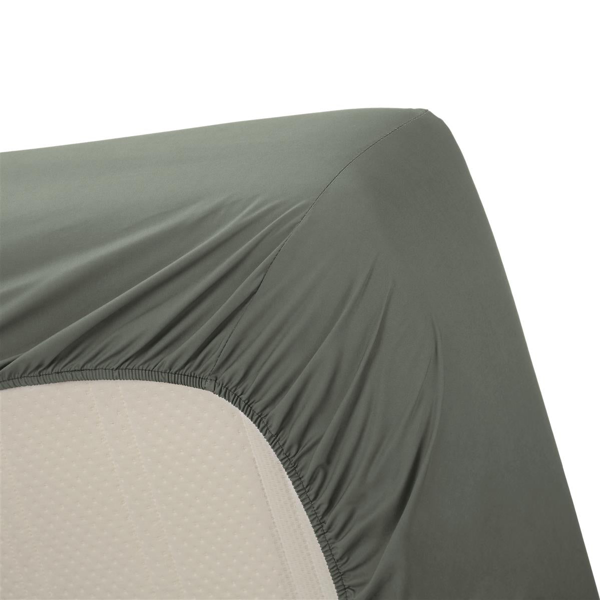 Ambiante Fitted Sheet - Cotton - Green